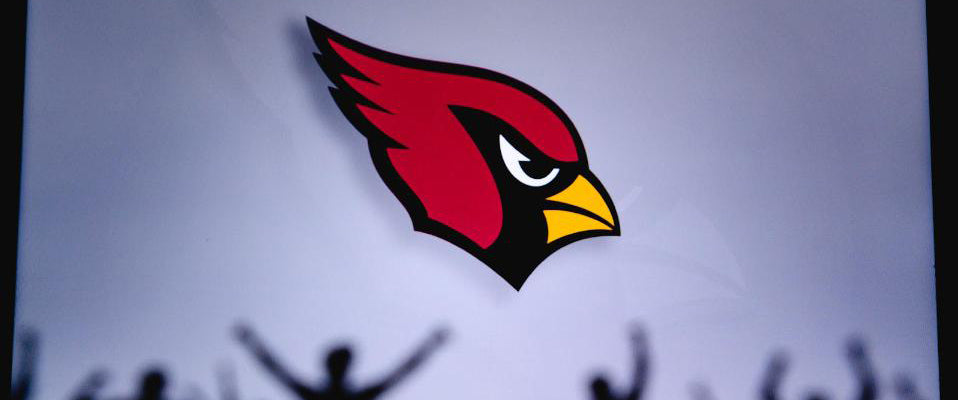 Ways To Support The Arizona Cardinals • State Forty Eight