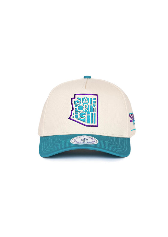 Frame Snapback Hat Classic Throwback | Teal & Purple