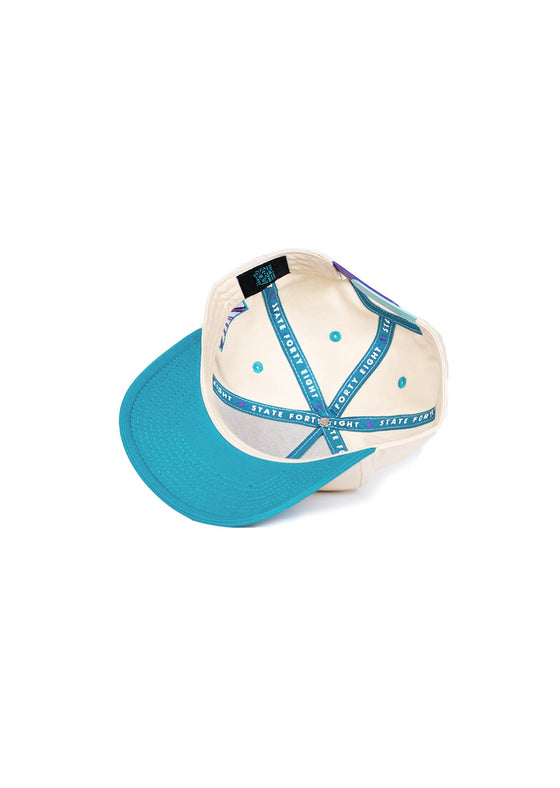 Frame Snapback Hat Classic Throwback | Teal & Purple